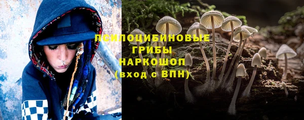 МДПВ Наволоки