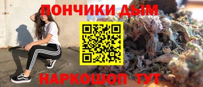 сатива Заводоуковск