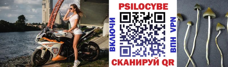 где купить наркоту  Наро-Фоминск  Псилоцибиновые грибы ЛСД 