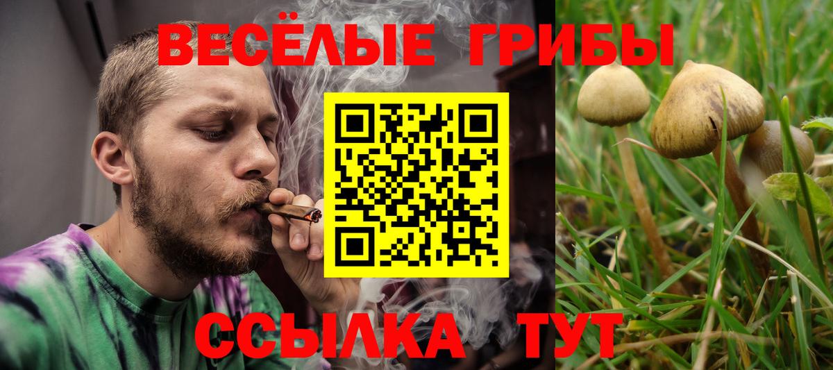 Псилоцибиновые грибы GOLDEN TEACHER Наро-Фоминск
