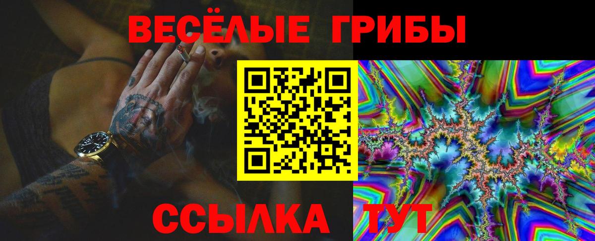 Наро-Фоминск  Псилоцибиновые грибы Psilocybe  Вход с VPN 